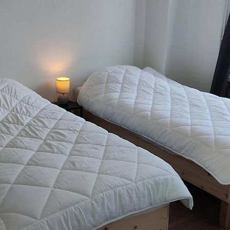 Maison Ronchin/Lille - Proche Toutes Commodites المظهر الخارجي الصورة