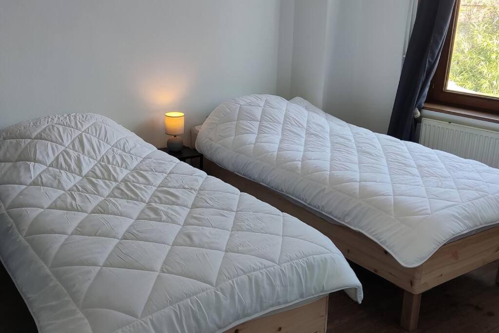 Maison Ronchin/Lille - Proche Toutes Commodites المظهر الخارجي الصورة